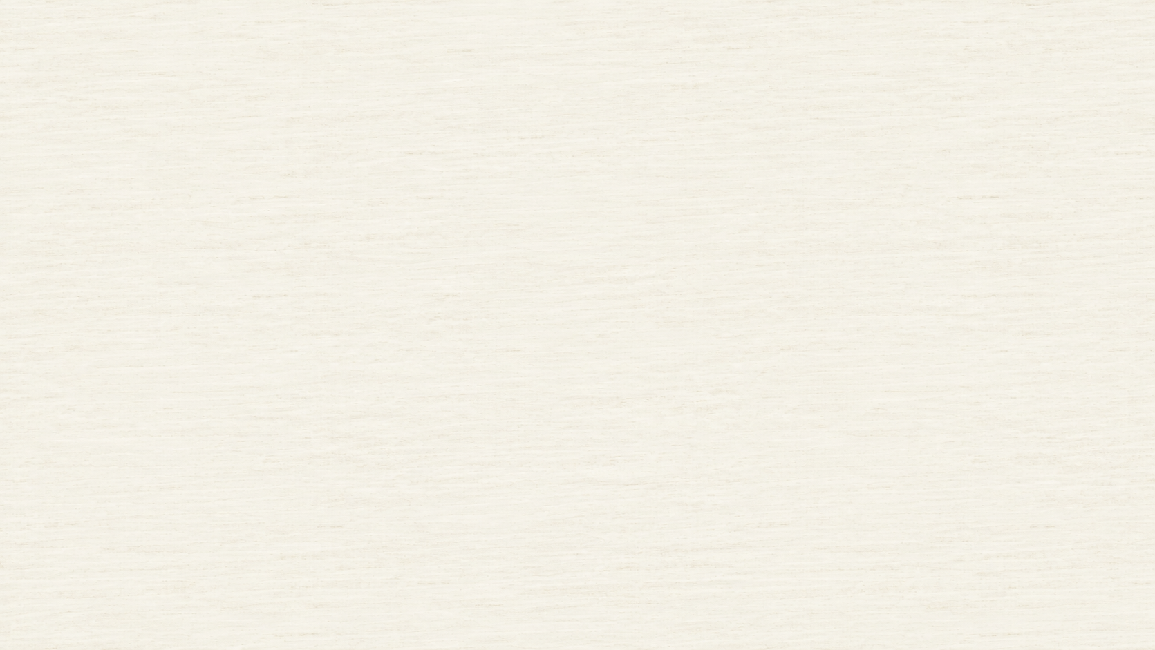 FRENCH FOSSIL WOOD